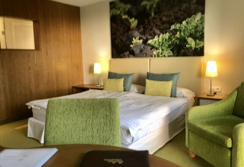 חדר סטנדרט נוף לגינה, Tigaiga