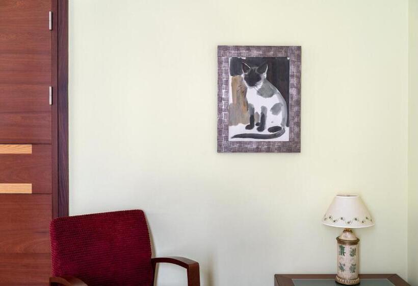 اتاق استاندارد, Parador De Soria