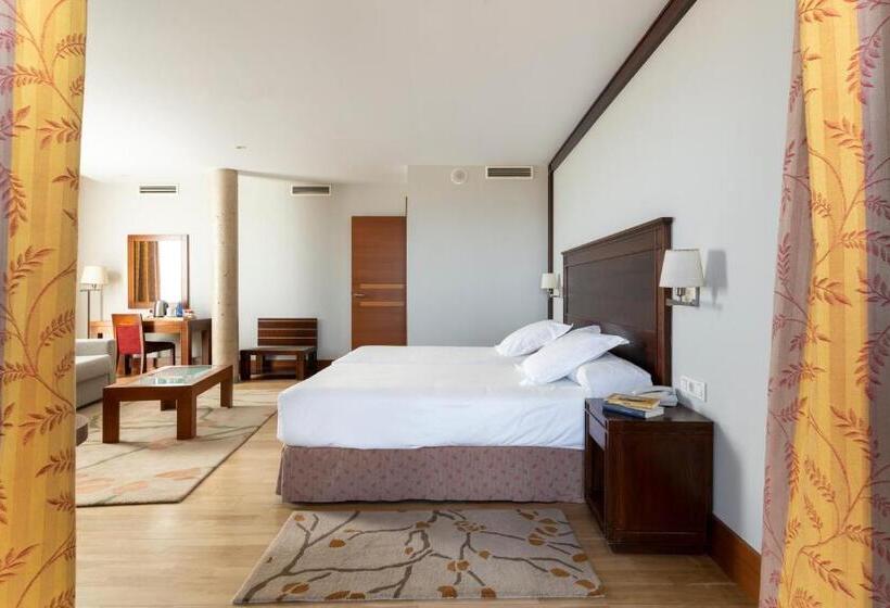 اتاق سوپریور, Parador De Soria