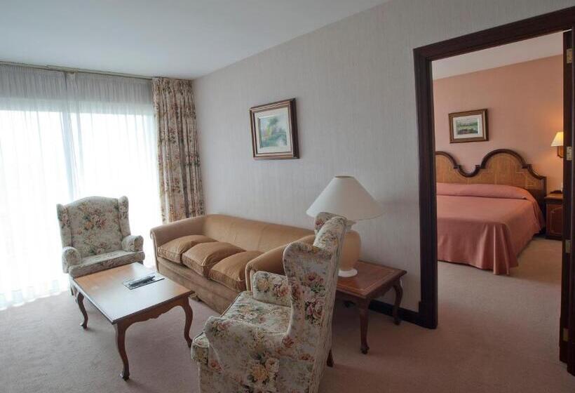 高级大房间, Riu Fluviá