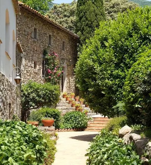 اتاق سوپریور, Els Caçadors De Maçanet