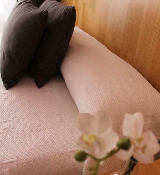 스탠다드 싱글 룸, Hostal Regina