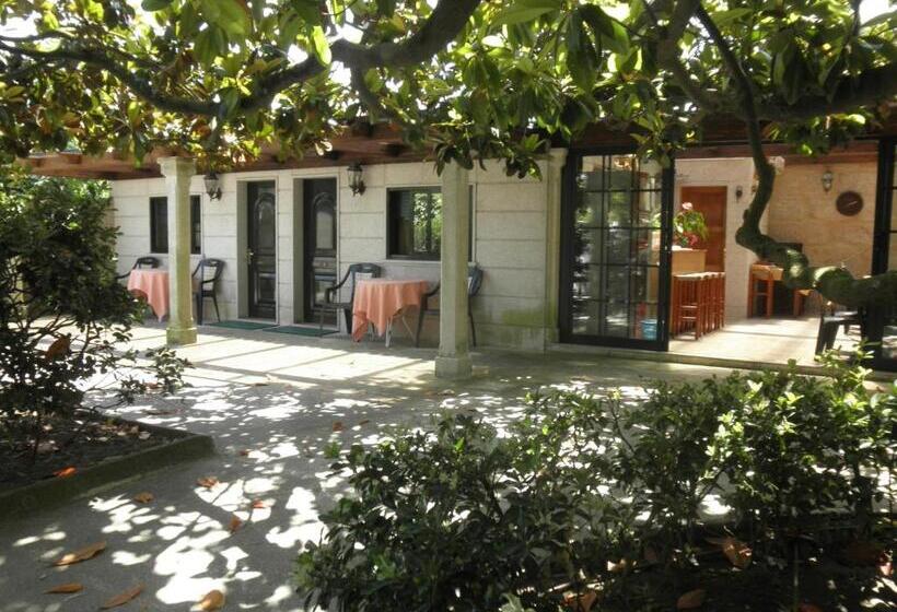 Jakuzili Standart Oda, Playa Samil Vigo