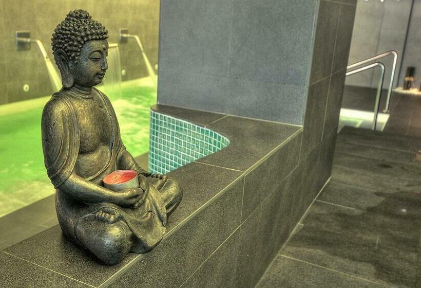 Номер Стандарт с доступом в Спа, Spa Sinagoga