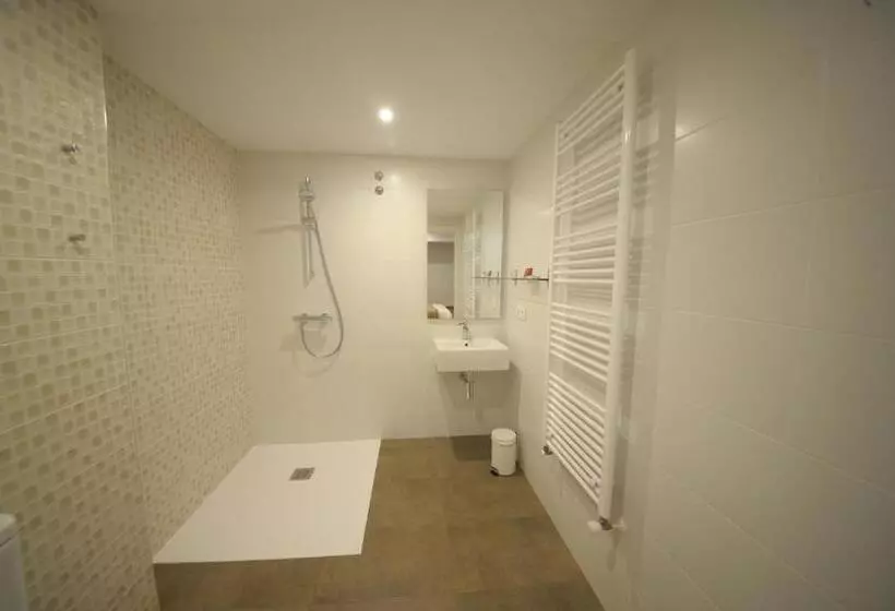 اتاق استاندارد با تخت بزرگ برای معلولان, Rio Sil Carballo