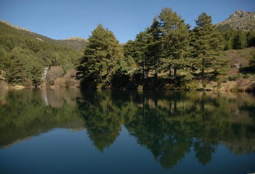 标准间, Nava Real