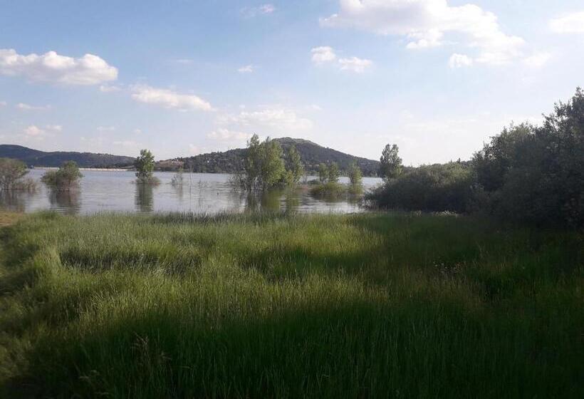 标准间, Nava Real