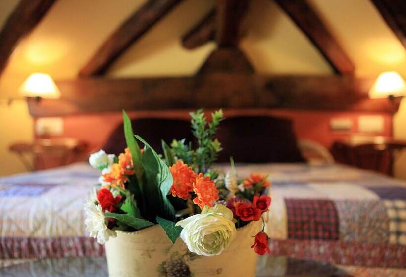 Quarto Estandar, Rural Irigoienea