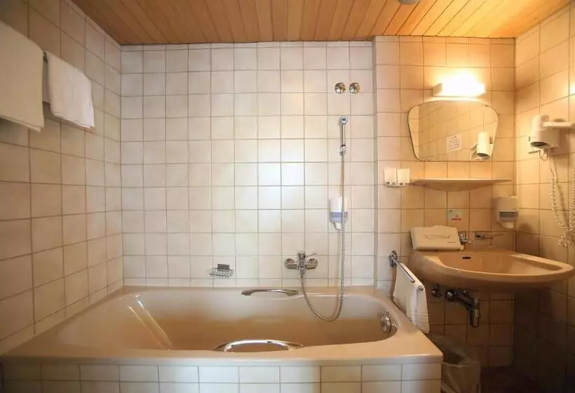 エコノミールーム, Aktivhotel Weisser Hirsch
