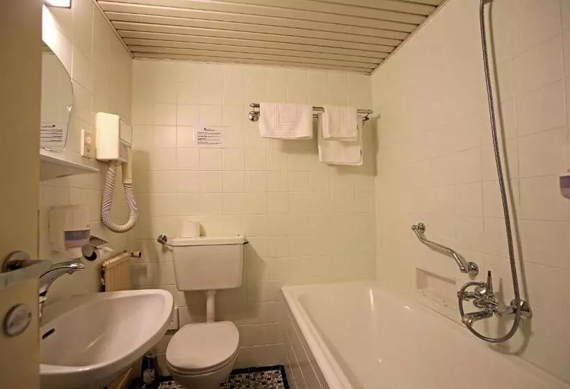 エコノミールーム, Aktivhotel Weisser Hirsch