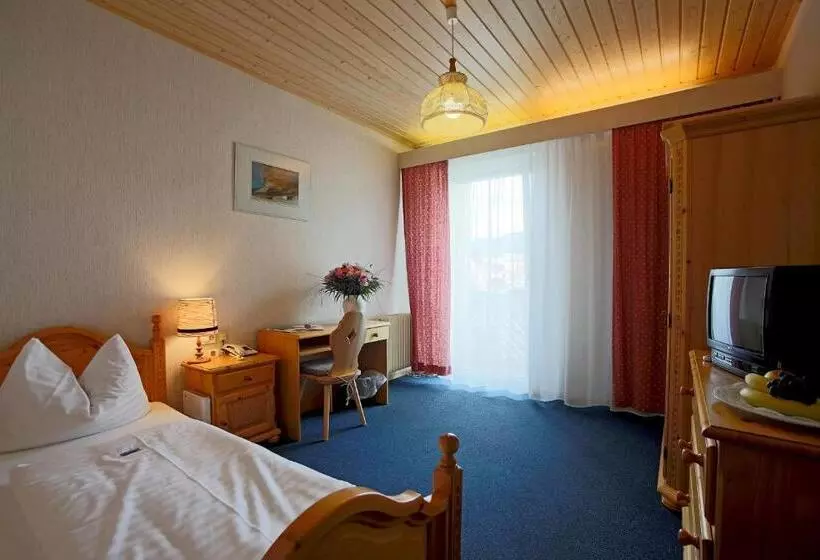 エコノミーシングルルーム, Aktivhotel Weisser Hirsch