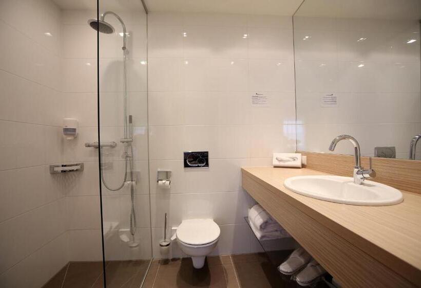 Номер Комфорт Индивидуальный, Aktivhotel Weisser Hirsch