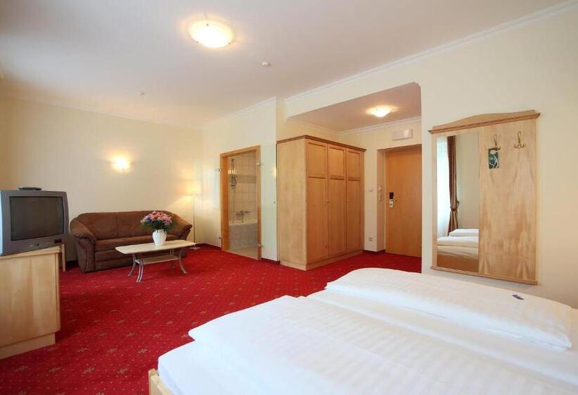 غرفة سوبيريور, Aktivhotel Weisser Hirsch