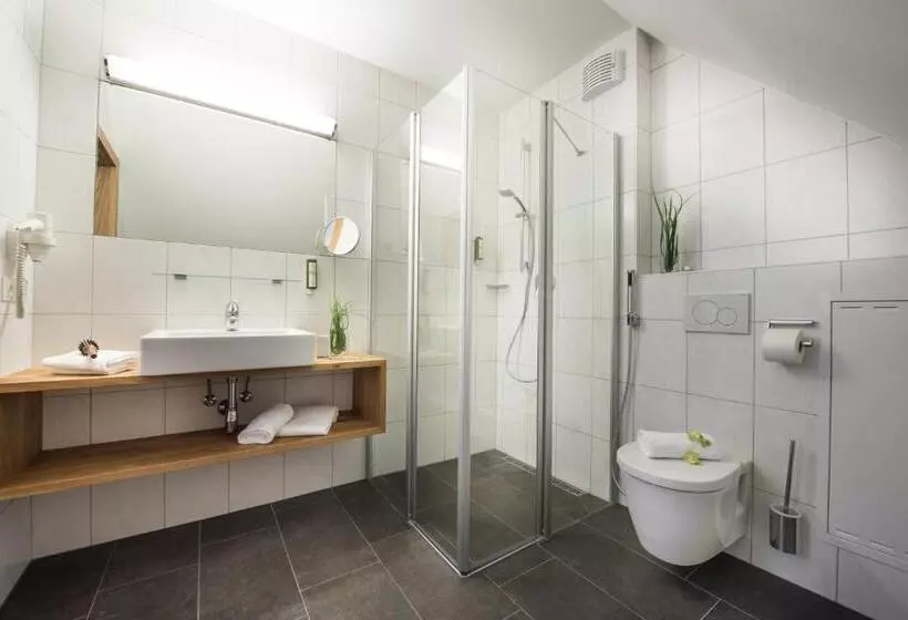 آپارتمان 2 خوابه, Alpenparks Hotel & Apartment Orgler Kaprun