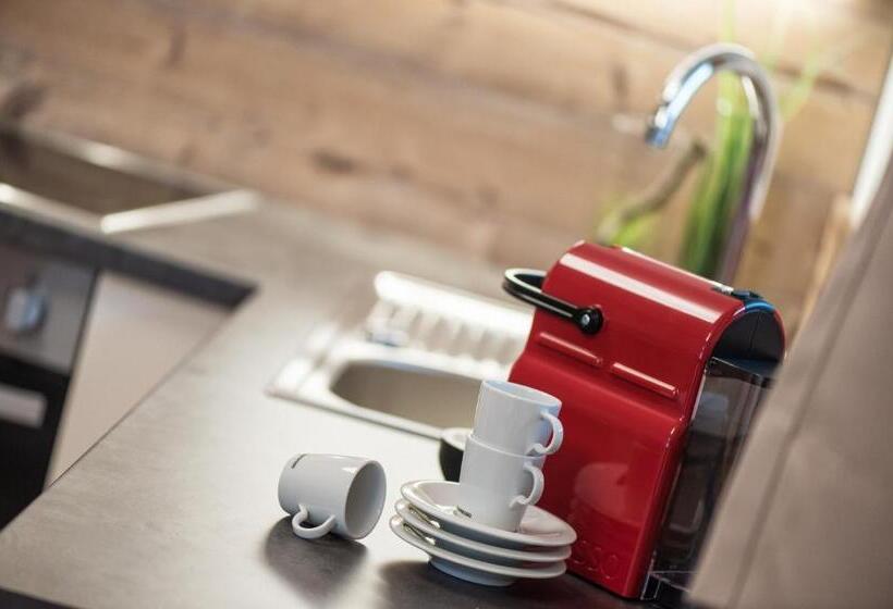 آپارتمان 3 خوابه, Alpenparks Hotel & Apartment Orgler Kaprun