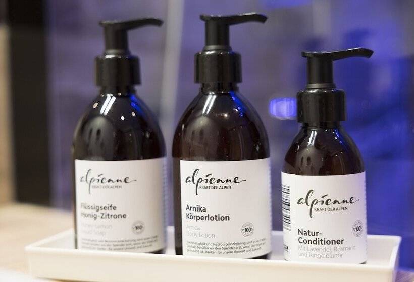 컴포트 룸, Alpbacherhof Mountain & Spa Resort