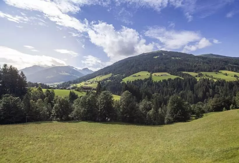 سوئیت با چشم‌انداز, Alpbacherhof Mountain & Spa Resort