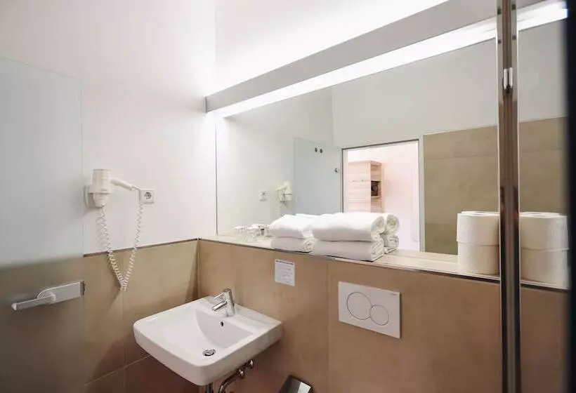 اتاق استاندارد با چشم‌انداز باغ, Altstadt Hotel Hofwirt Salzburg