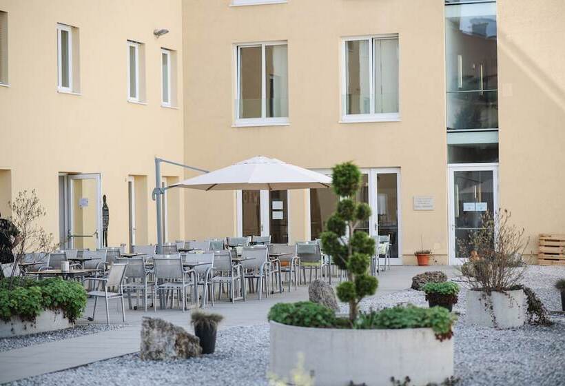 اتاق استاندارد با چشم‌انداز باغ, Altstadt Hotel Hofwirt Salzburg