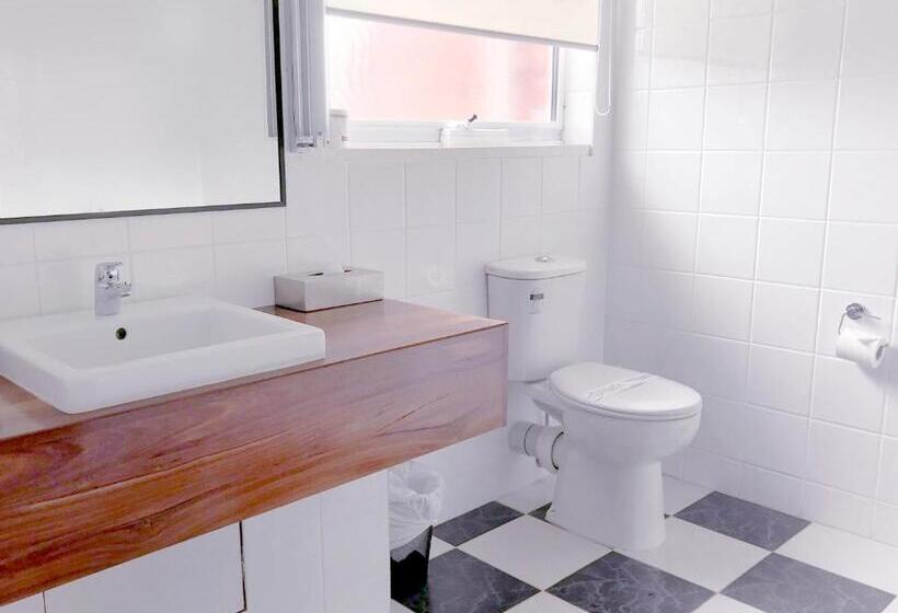 חדר דלוקס מיטת קווין, The International Motel Apollo Bay