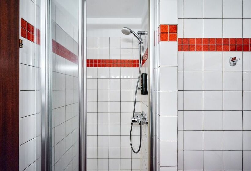 单人基本间, Kunsthof