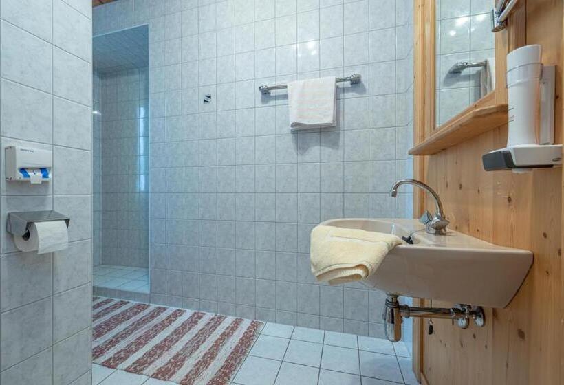 غرفة قياسية, Landhof Zum Waidegger Wirt