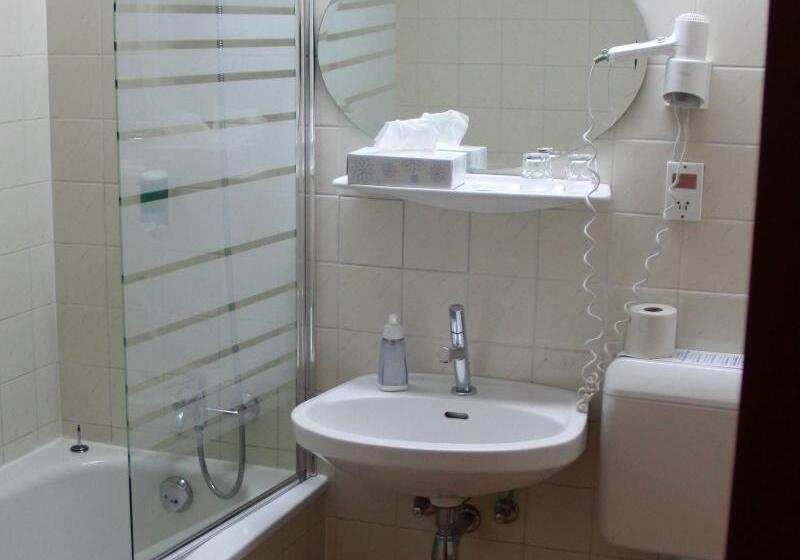 标准单人间, Mozart