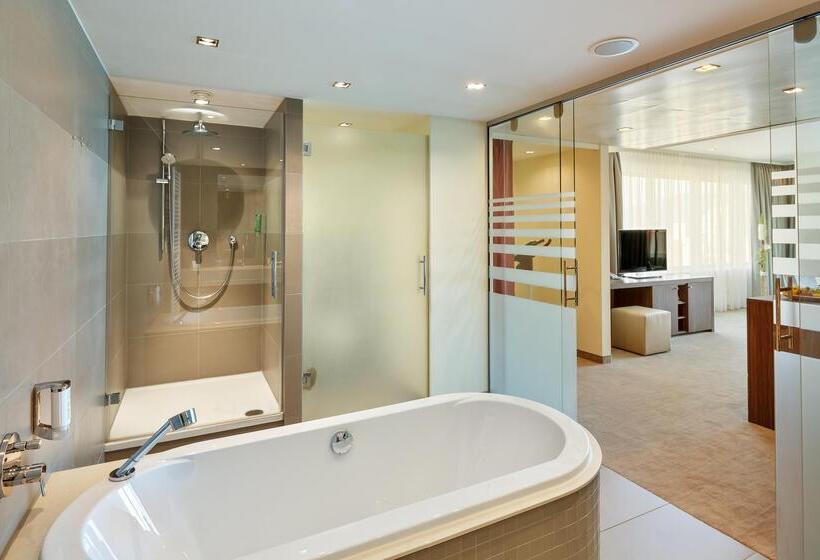 جناح جونيور, Schillerpark Linz, A Member Of Radisson Individuals