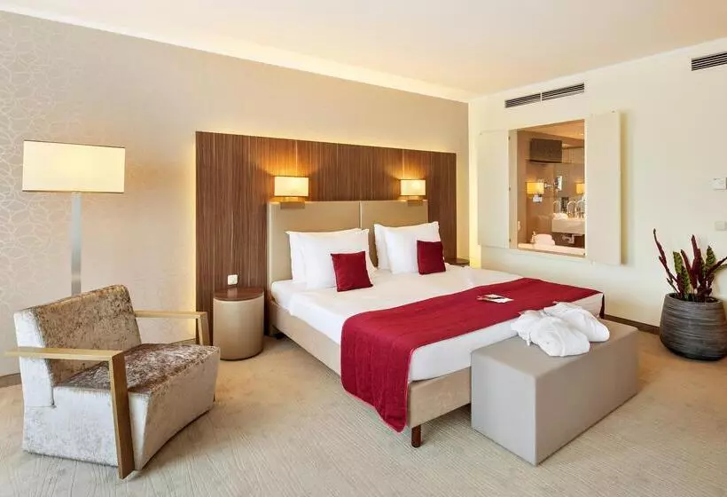 سوییت جونیور, Schillerpark Linz, A Member Of Radisson Individuals
