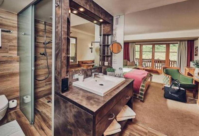 标准间, Superior Sport Und Familienresort Alpenblick