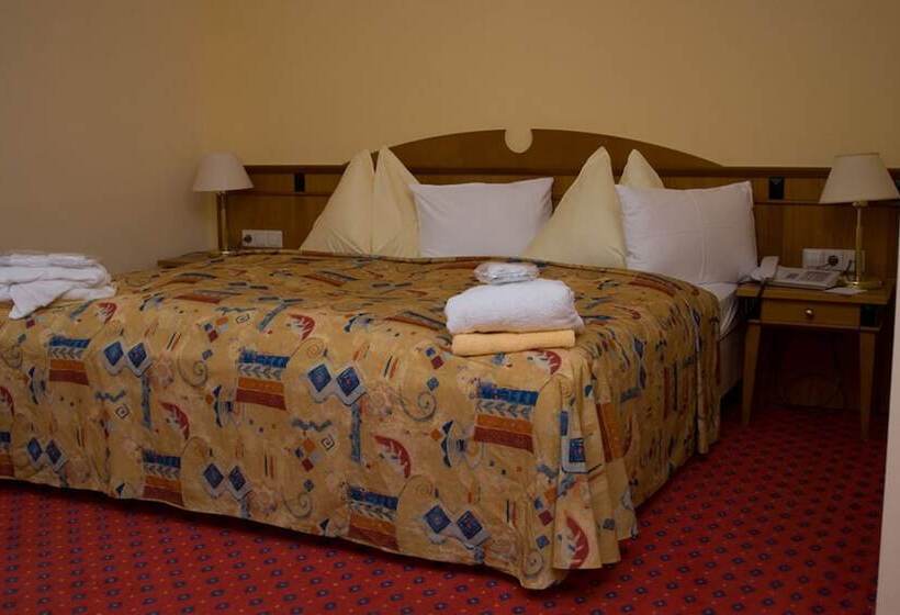 スタンダードルーム, Thermal Resort Hotel Elisabethpark