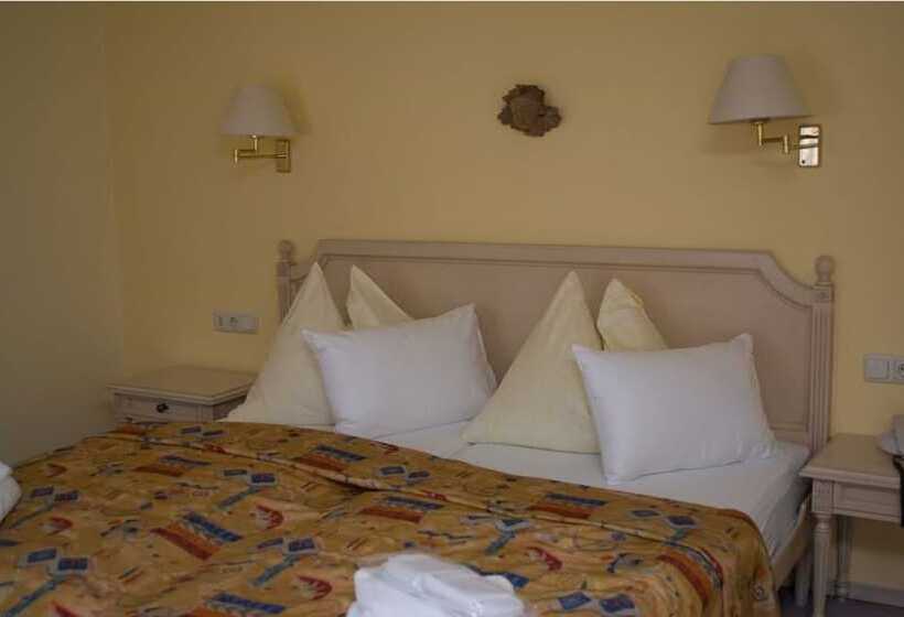 スタンダードルーム, Thermal Resort Hotel Elisabethpark