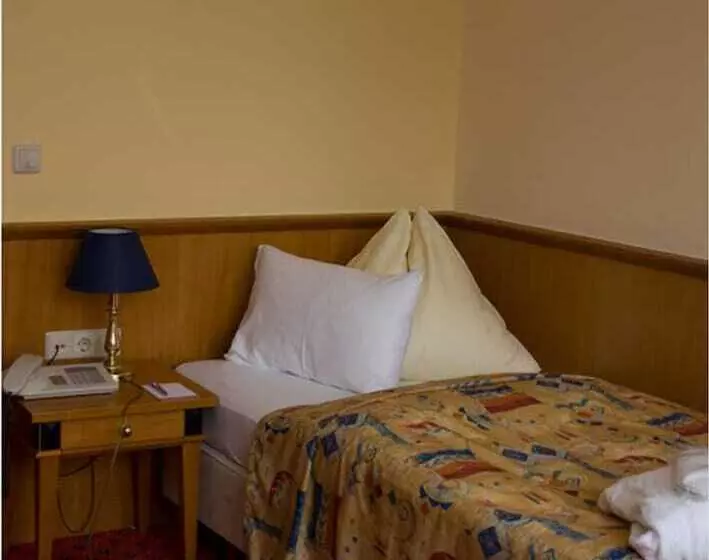 スタンダードシングルルーム, Thermal Resort Hotel Elisabethpark