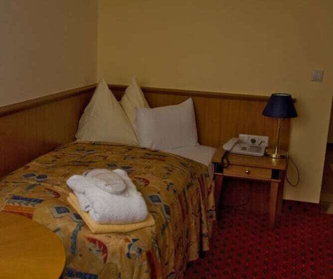 スタンダードシングルルーム, Thermal Resort Hotel Elisabethpark