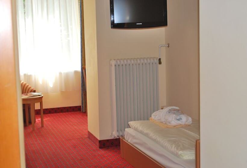 スタンダードシングルルーム, Thermal Resort Hotel Elisabethpark