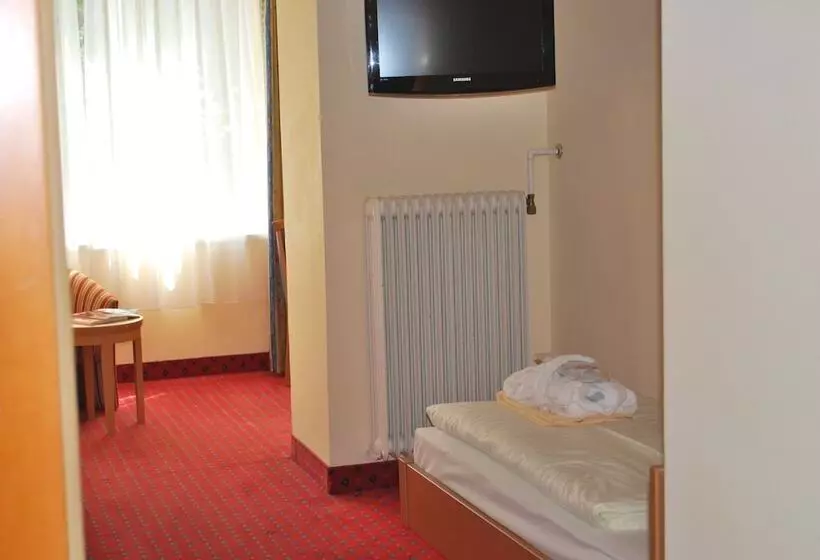 スタンダードシングルルーム, Thermal Resort Hotel Elisabethpark