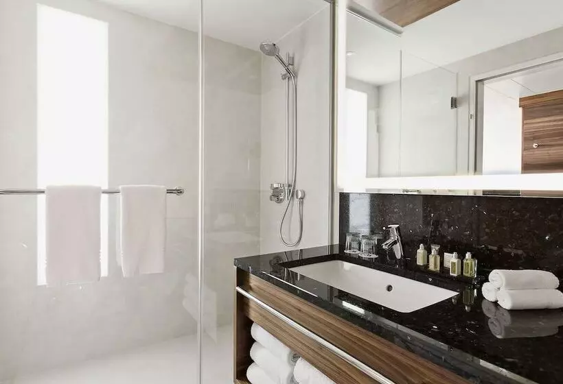 Quarto Superior Vista Parque, Vienna Marriott