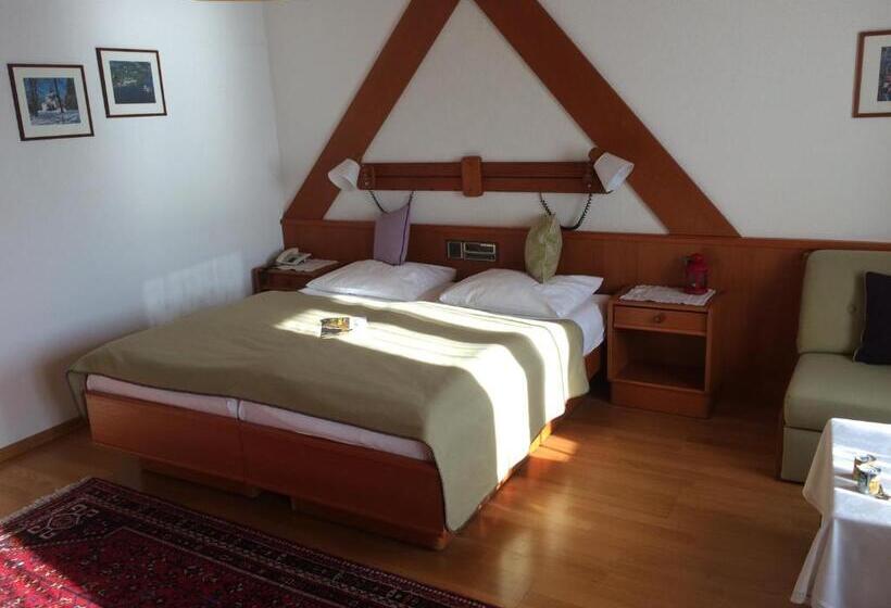 古典房间, Seehotel Schwan