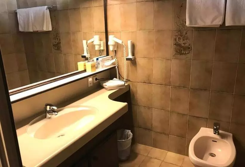 クラシックルーム, Seehotel Schwan