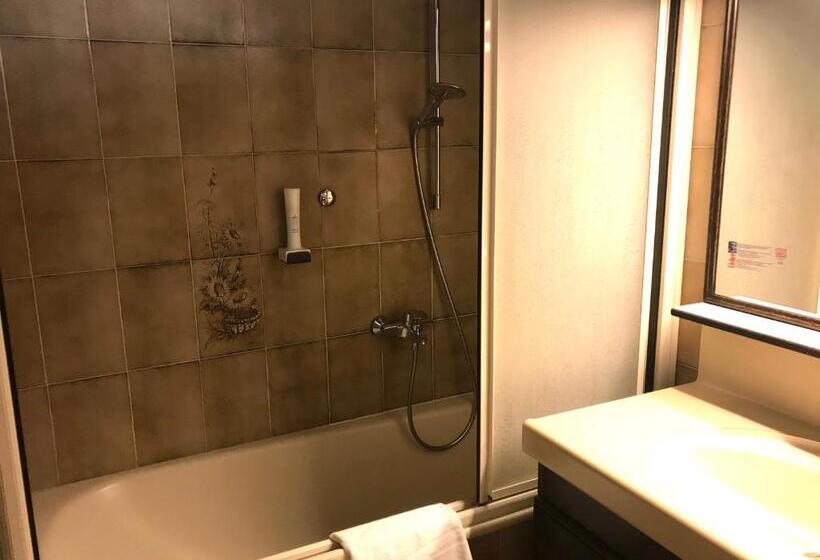 古典房间, Seehotel Schwan