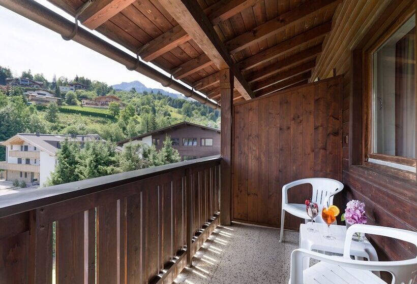 Полулюкс, Sporthotel Austria