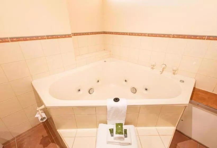 آپارتمان 1 خوابه, Mildura Inlander Resort