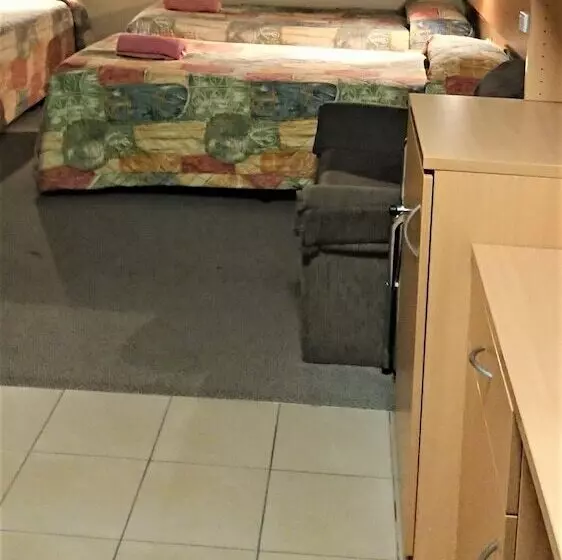 Perhesviitti, New Olympic Motel