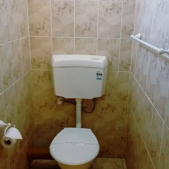 Deluxe-huone, New Olympic Motel