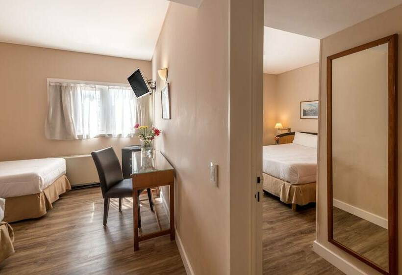 اتاق استاندارد چهار تخته, Exe Hotel Colón