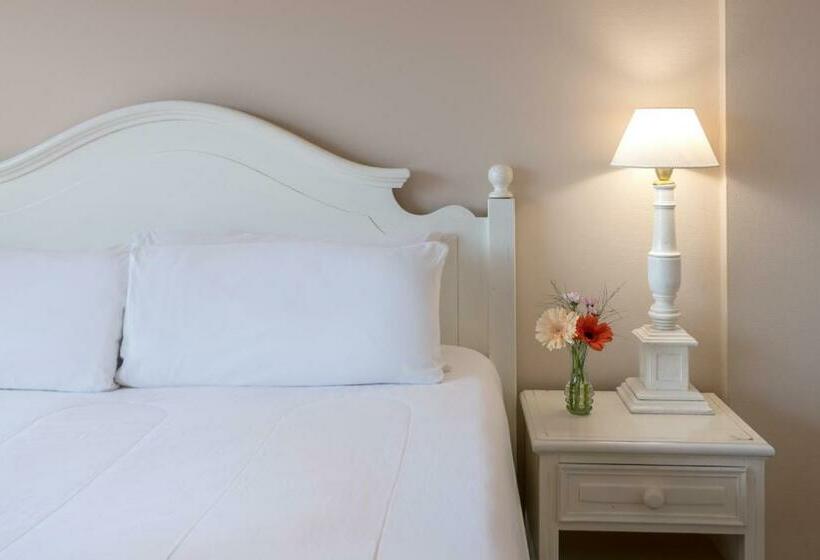 테라스 스위트, Exe Hotel Colón