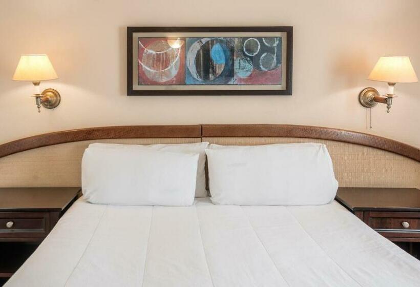 اتاق استاندارد با چشم‌انداز شهر, Exe Hotel Colón