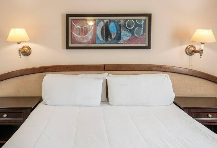 اتاق استاندارد با چشم‌انداز شهر, Exe Hotel Colón