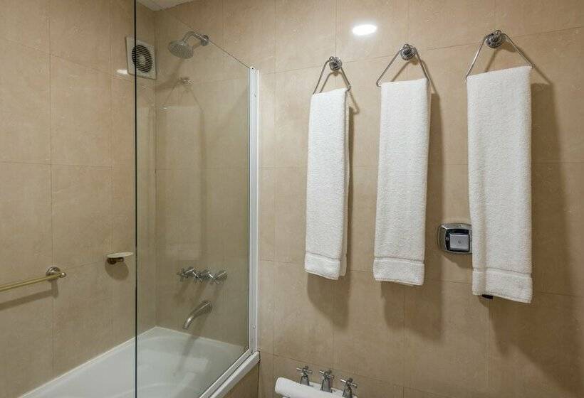 اتاق استاندارد با چشم‌انداز شهر, Exe Hotel Colón