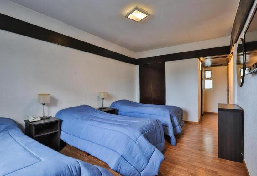 Standaard Driepersoonskamer, Bariloche Ski